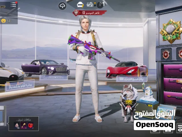 Pubg Accounts and Characters for Sale in Amman