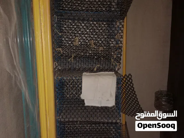 سلاكات لجميع انواع الطيور