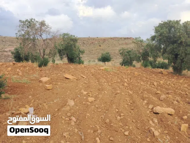 أرض مميزة مطلة عجبال السلط