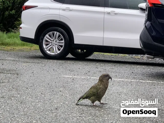 2022, أودي, A4, S4 Sedan