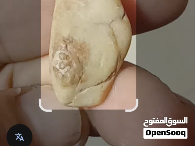 نادرررررررر