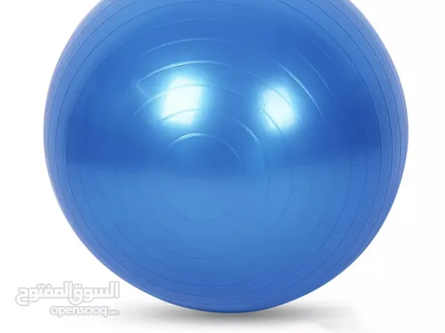 Yoga Ball (15)