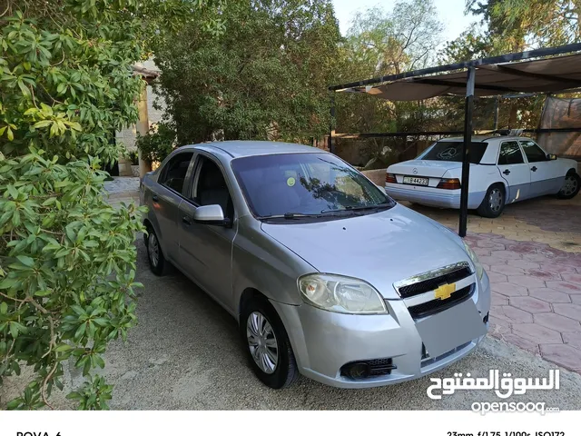 شفر افيو 2007