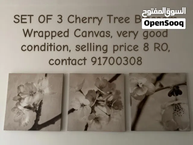 طقم لوحة جدارية مكونة من 3 قطع . Set of 3 wall paint