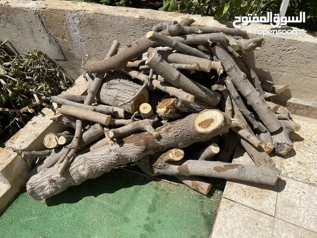 حطب شجرة توت