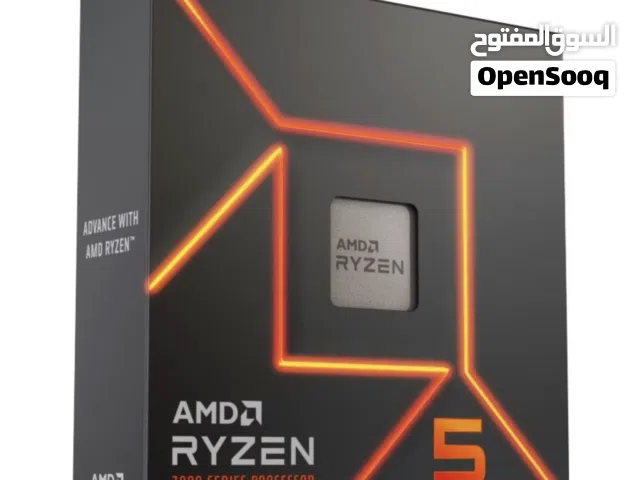 AMD Ryzen 5 7600X CPU **(NEW)**