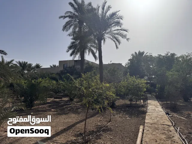 بستان للبيع يصلح شاليه بسعر مناسب