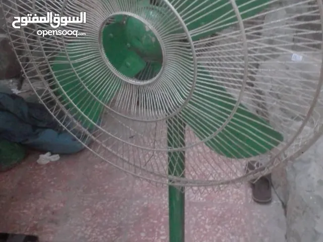 تأجير المشجعين/fan for rent