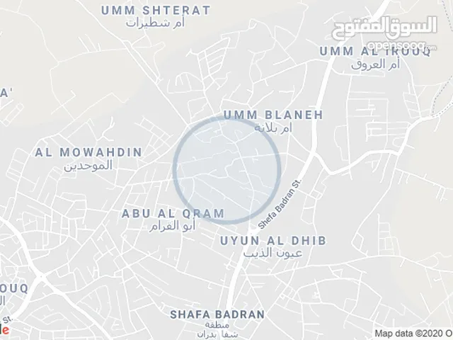 Residential Land for Sale in Amman Shafa Badran