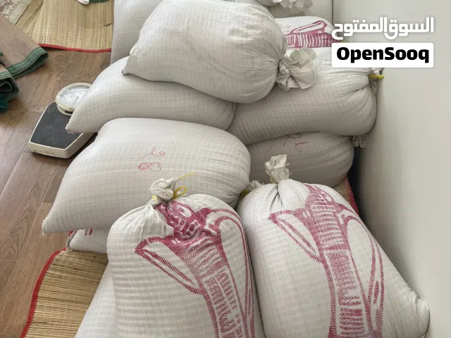 حب بر بجودة عاليه