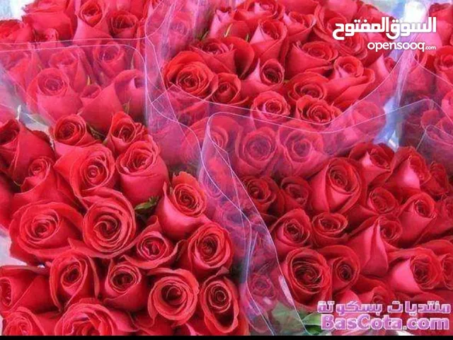 زوزو الماضي