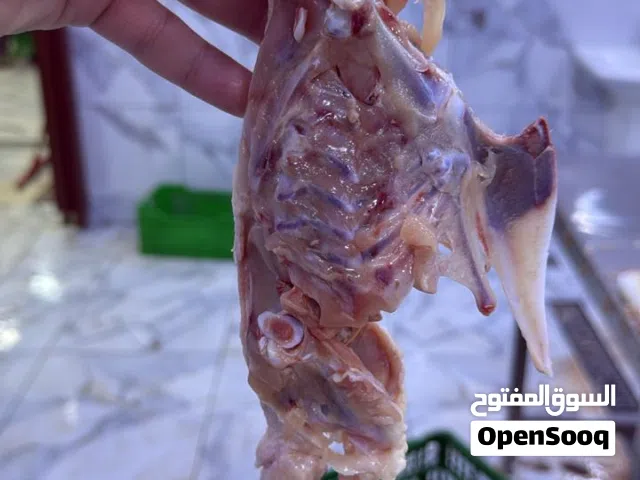 هياكل دجاج للكلاب