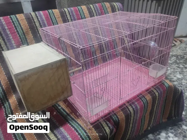 خانه نظيفه مع بيت تكاثر