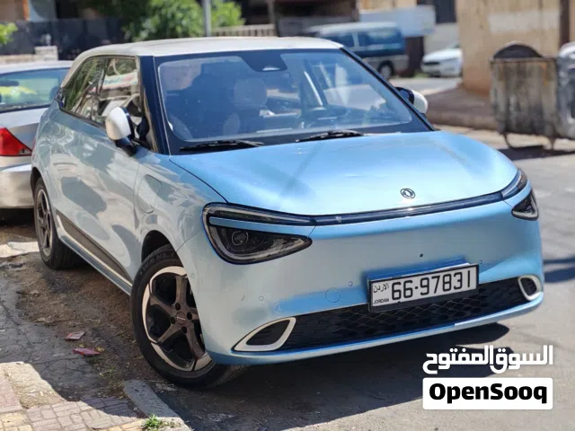 2023 Dongfeng Nammi Box