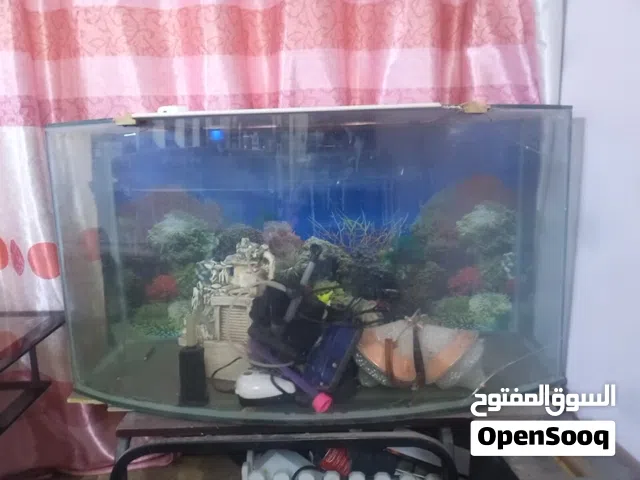 حوض سمك للبيع يرادله تبديل جام امامي الوصف مهم