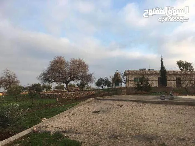 More than 6 bedrooms Farms for Sale in Irbid Malka
