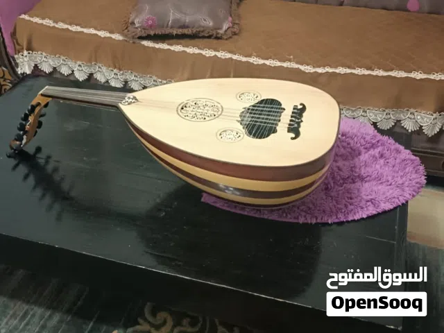 عود للبيع بنصف السعر