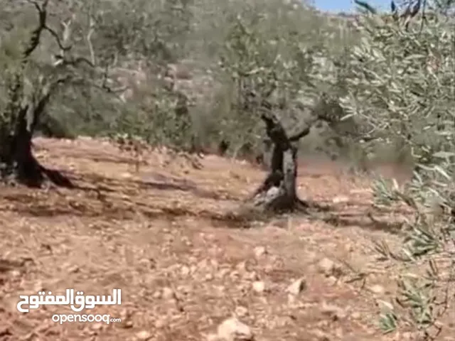 Residential Land for Sale in Ramallah and Al-Bireh Mazri' Al-Nubani