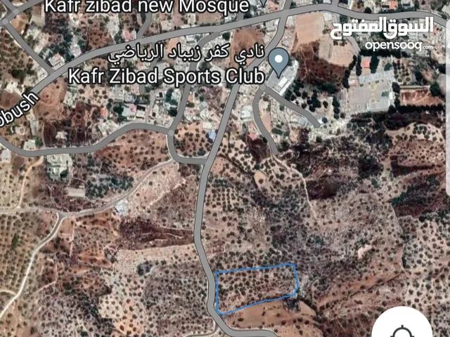 ارض للبيع طولكرم كفر زيباد