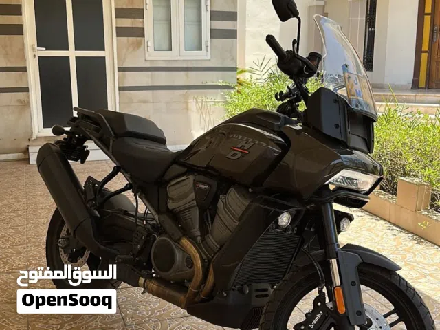 2021 هارلي ديفيدسون أخرى