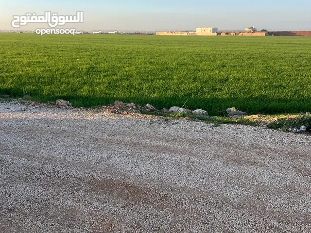 ارض للبيع ام الابار الغريبة جنوب شارع البتراء