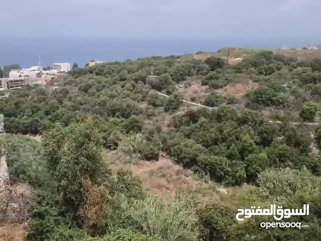 Residential Land for Sale in Jbeil Aamchit