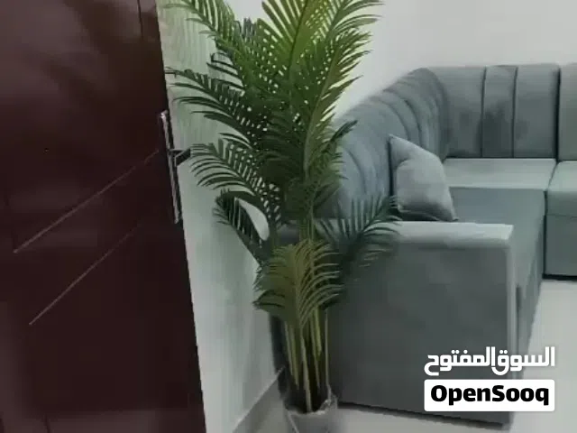 إيجار شهري فقط وشهر 7/و 8/ يومي