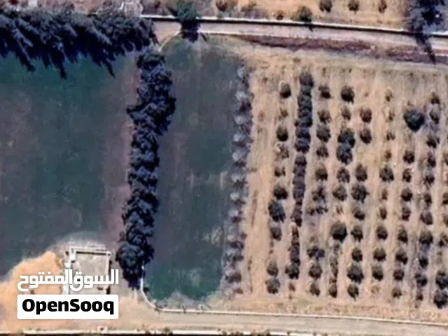 Farm Land for Sale in Tripoli Qasr Bin Ghashir