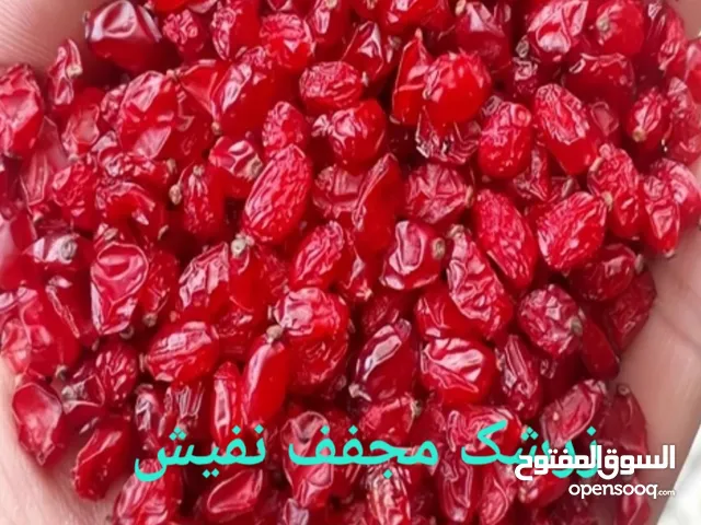 نقدّم لكم أجود أنواع الزرشك والنباتات الطبية الطبيعية مباشرة من إيران. جودة عالية وأسعار منافسة. للط