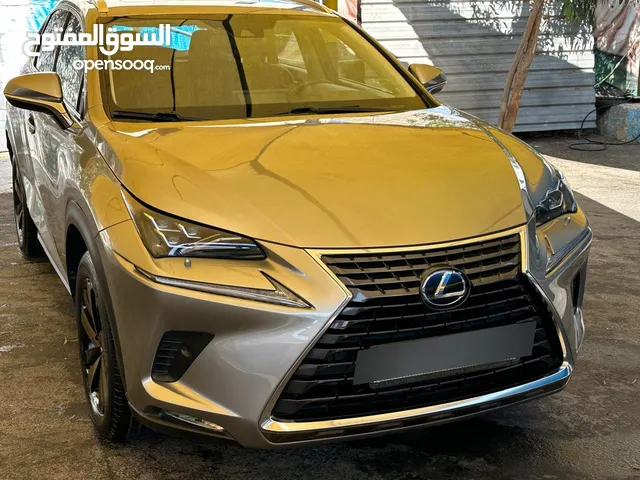 Used Lexus NX in Amman