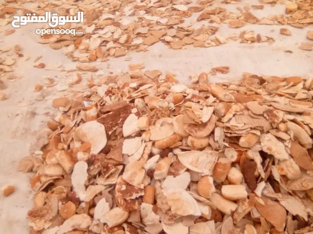 اكياس عيش نظيف ومكسر للمواشي