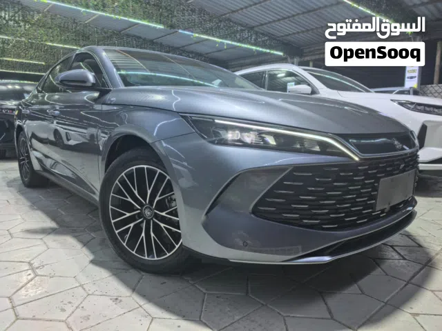 2024 بي واي دي كين
