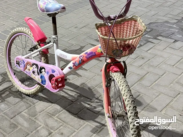 عجلة برنسيس مقاس 20 ابو الجوخ