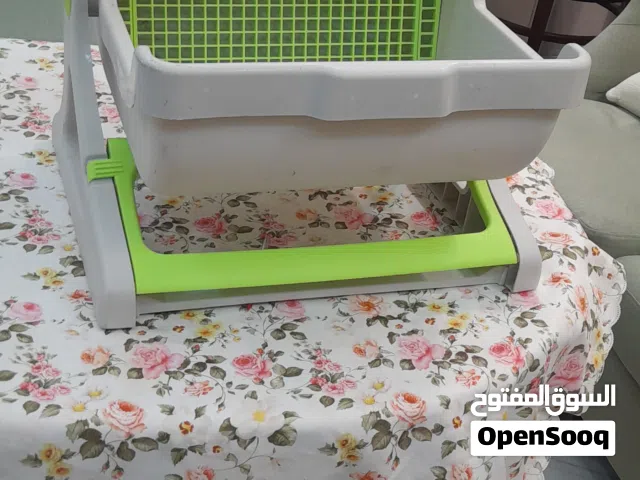 أكسسوارات للقطط