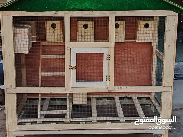 حضيرة عصافير