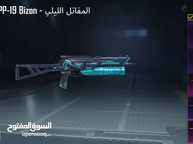Pubg Accounts and Characters for Sale in Irbid