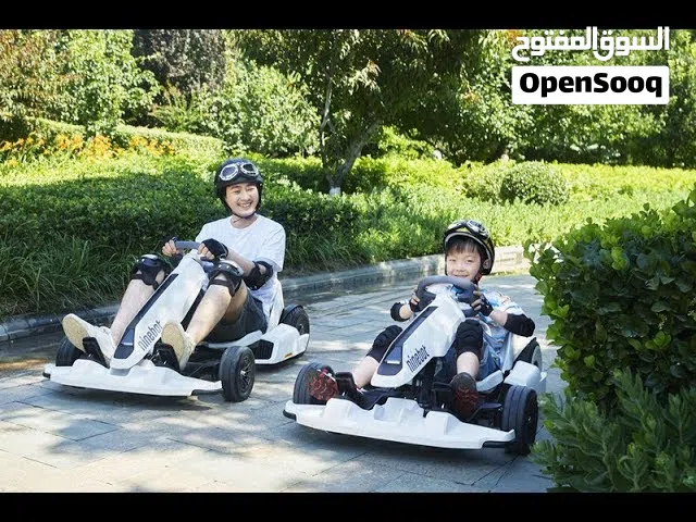 Ninebot Electric Go Kart - Kids and Adults (Unique)