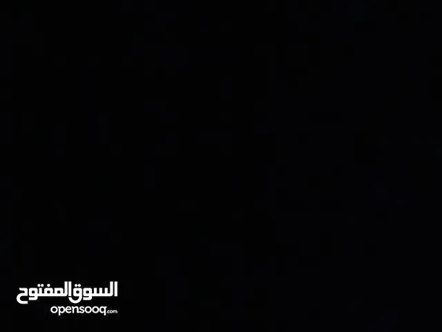 مطلوب : كلب جيرمن او هاسكي لتبني
