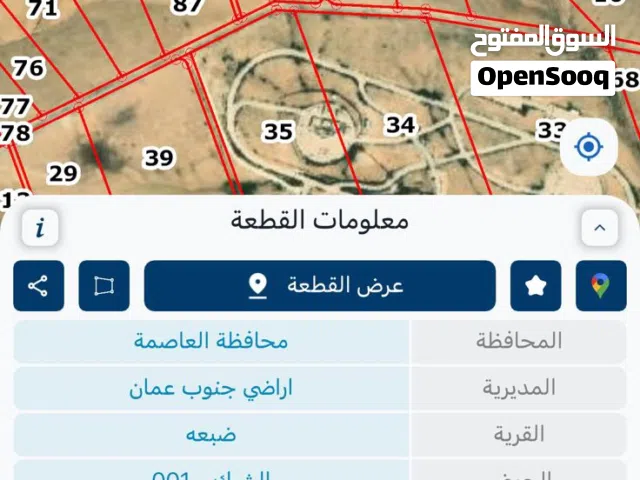 أرض استثمارية مميزة في ضبعة – جنوب عمّان