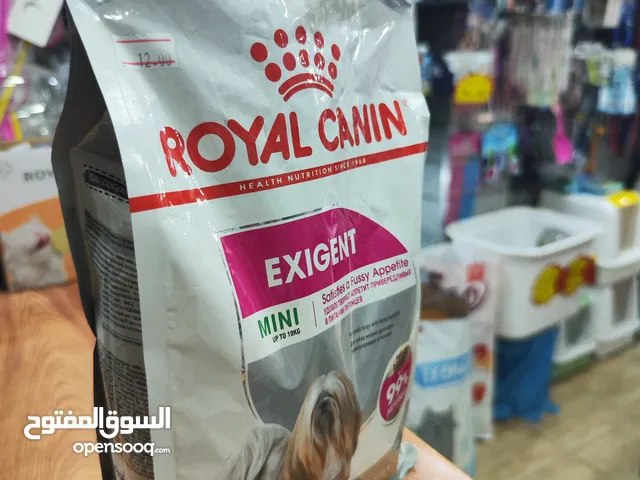 اكل كلاب مني اكسجنت رويال كانن ، للكلاب صعب. المرآس