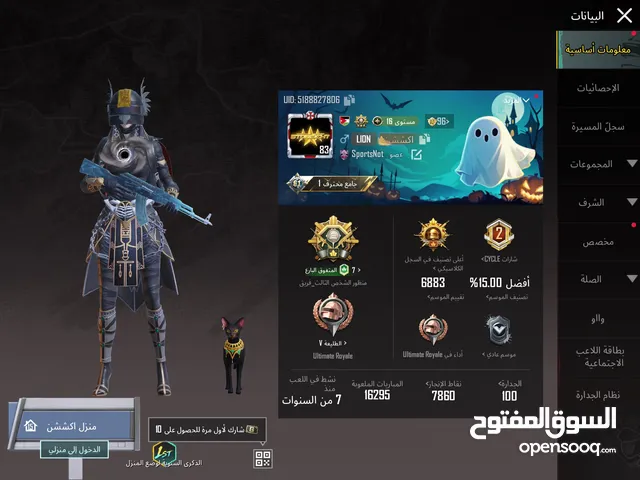 Pubg Accounts and Characters for Sale in Irbid