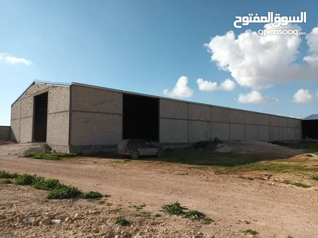 Mixed Use Land for Sale in Benghazi Sidi Faraj