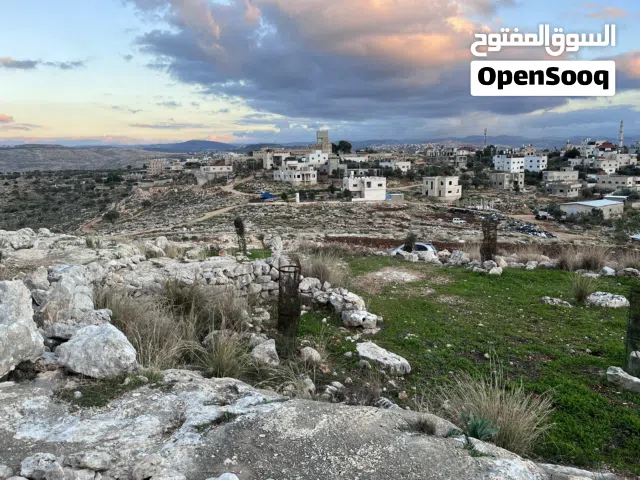 Farm Land for Sale in Ramallah and Al-Bireh Other