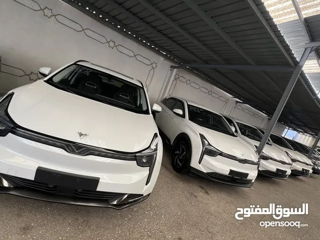 NETA U PRO ELECTRIC 2022