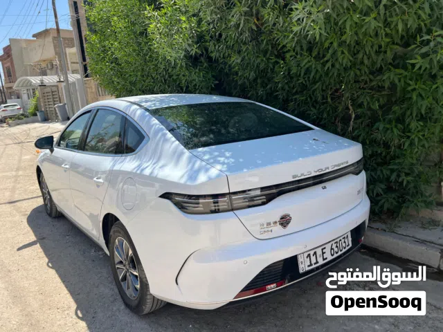 2025 بي واي دي ديستروير