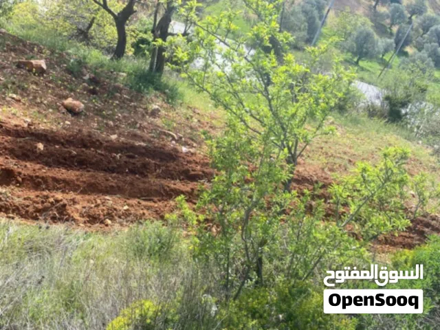 عجلون /القاعده .. ام جلود .. ارض للبيع