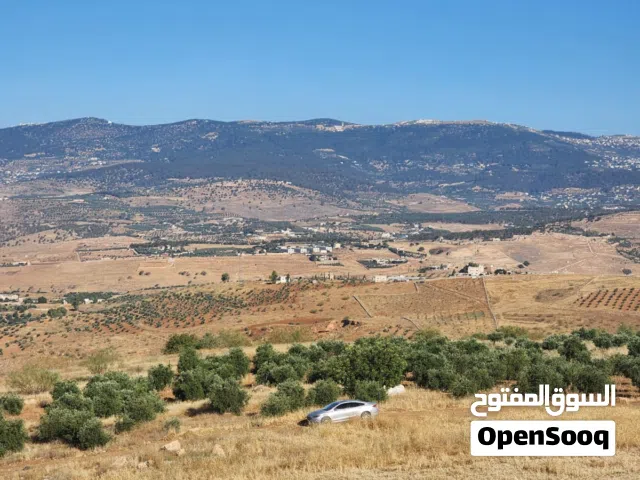 Farm Land for Sale in Jerash Kufair