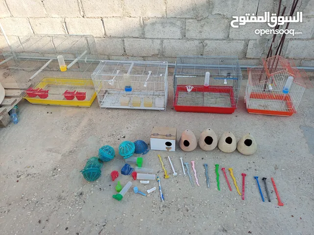 اقفاس عصافير مع أغراض عشوش فخارات اصابع مشارب أقرأ الوصف