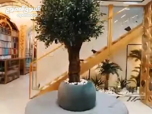 كنباي مدورة للمحلات والعيادات