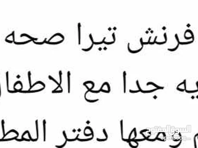 بسم الله موجود انثى فرنش تيرا صحه ونظاف 100/100 لعوبه وهاديه جدا مع الاطفال عمرها 10شهور ماخذه جميع